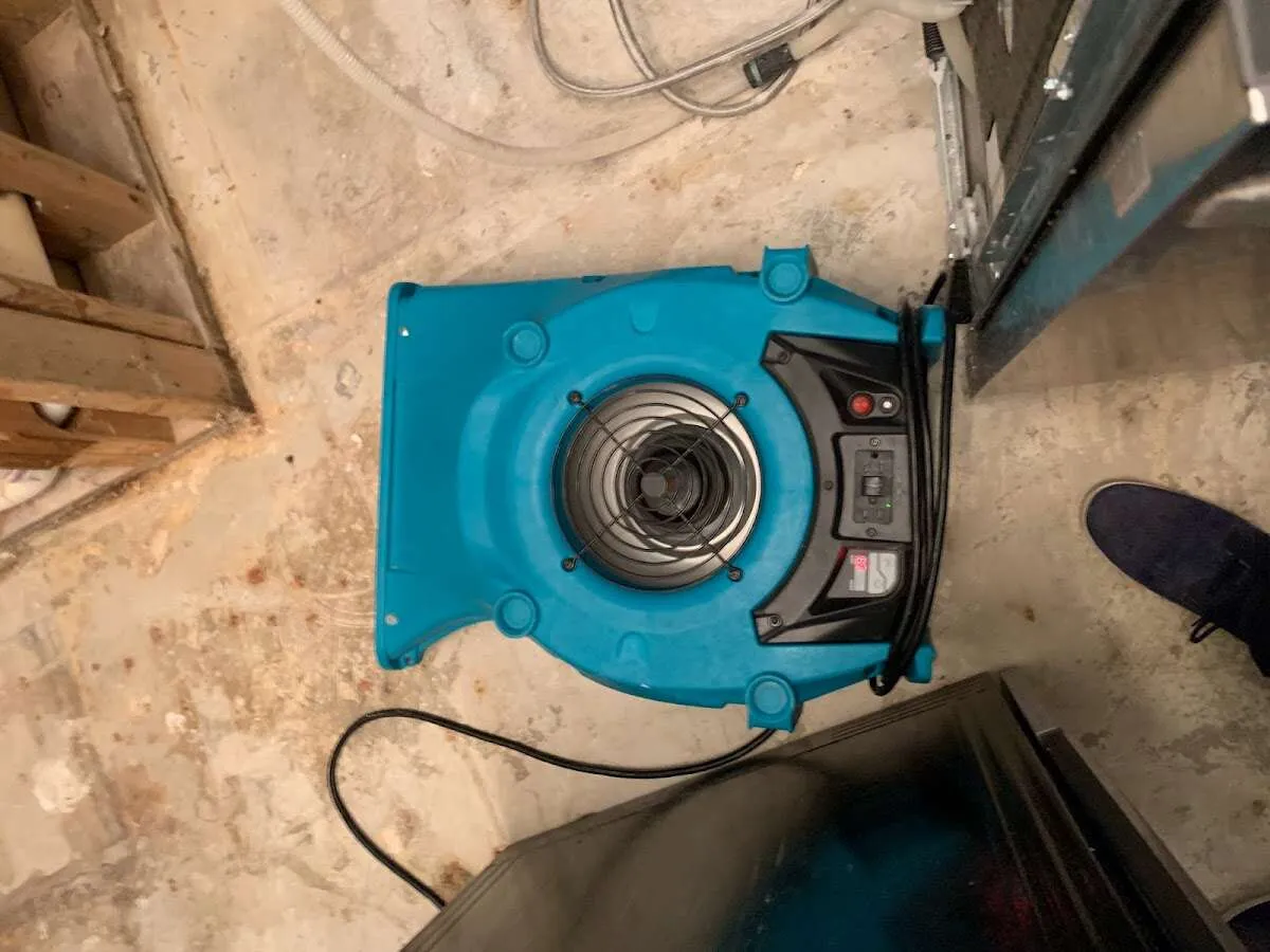 Air mover drying equipment for Mold Remediation & Removal in Dalhart